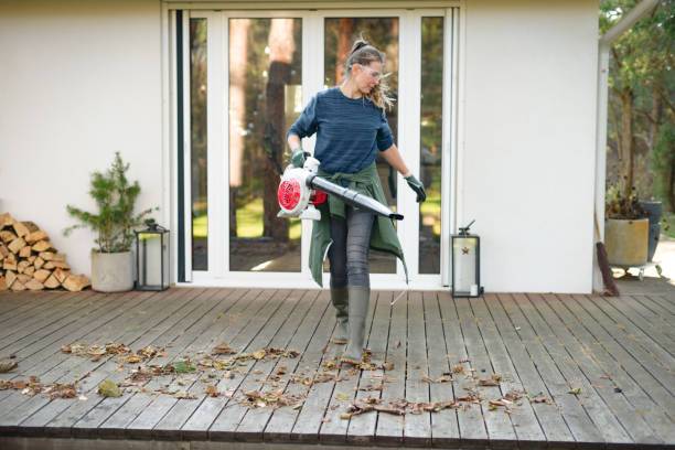 TOP 10 House Cleaning Ideas That Will Transform Your Home