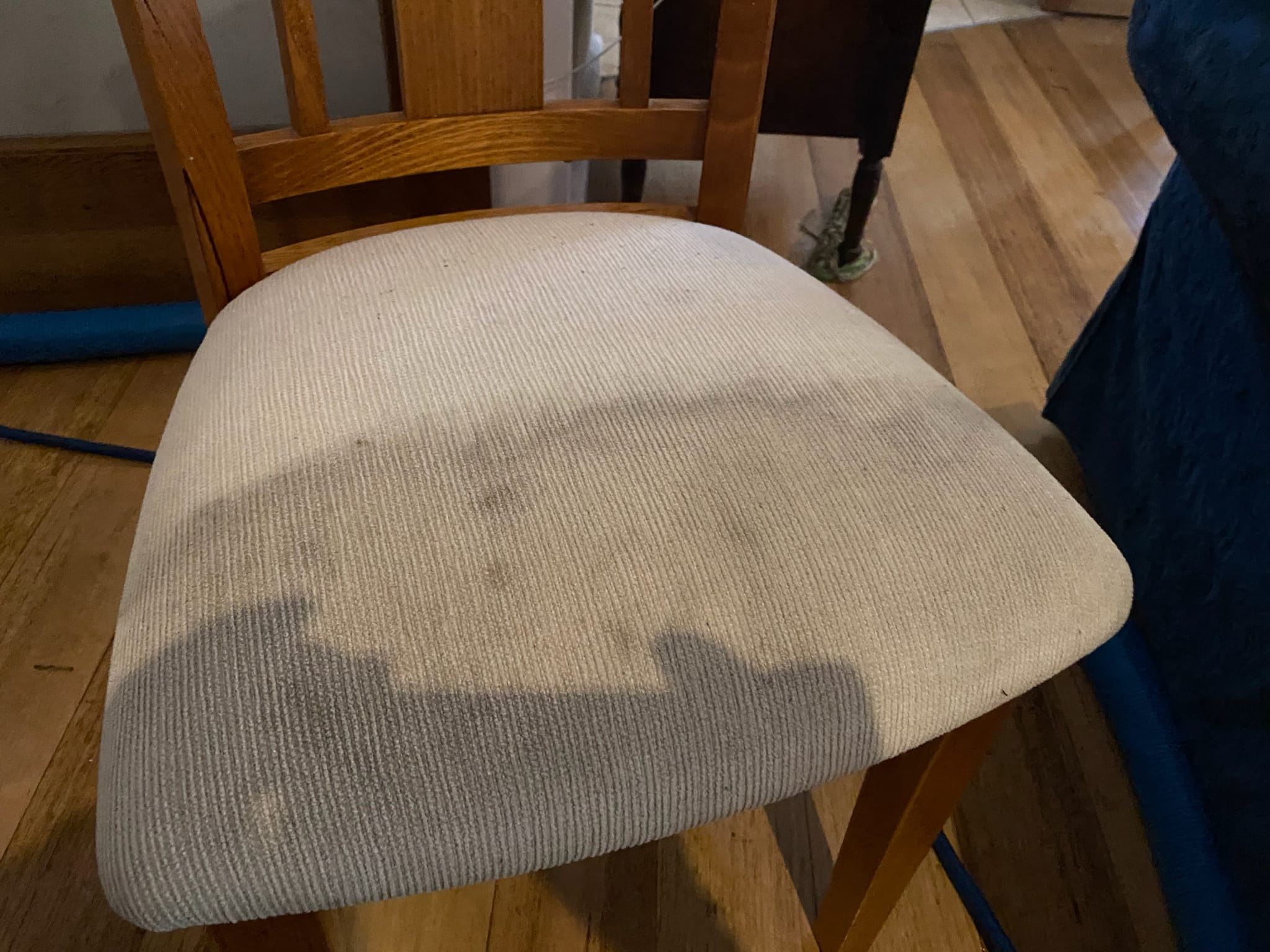 Best <span>Carpet Steam </span> Cleaning in Perth