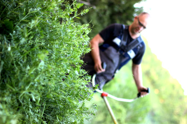Best  <span> Gardener </span> in Perth